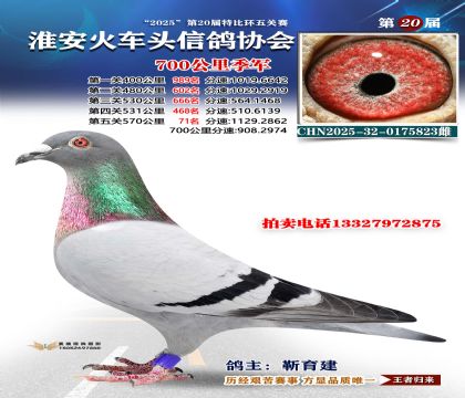 ������ͷ700���＾��