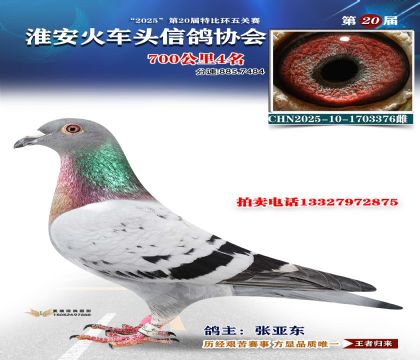 ������ͷ700����4��