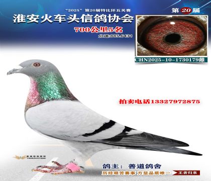 ������ͷ700����5��