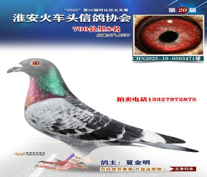 ������ͷ700����8��