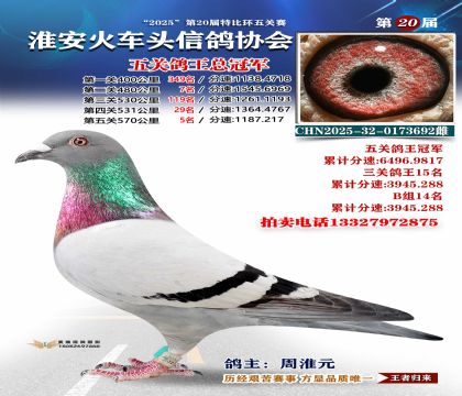 ������ͷ��ظ����ھ�