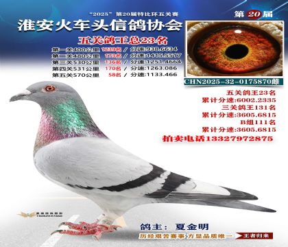 ������ͷ��ظ���23��