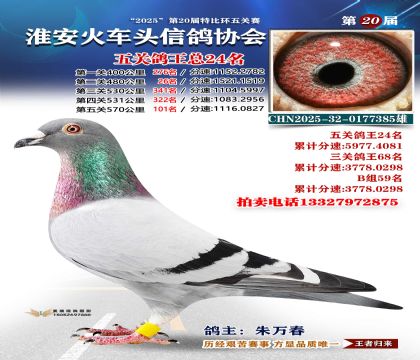 ������ͷ��ظ���24��