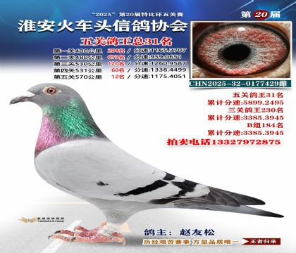 ������ͷ��ظ���31��