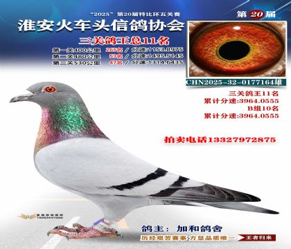 ������ͷ���ظ���11��