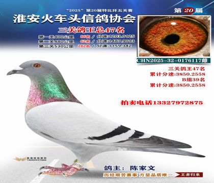 ������ͷ���ظ���47��