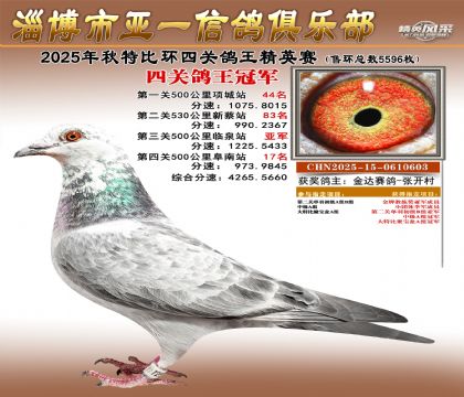 ��һ��Ӣ���ھ�