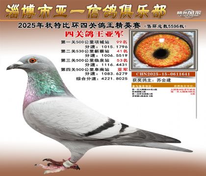 ��һ��Ӣ���Ǿ�