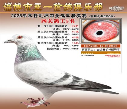 ��һ��Ӣ��5��