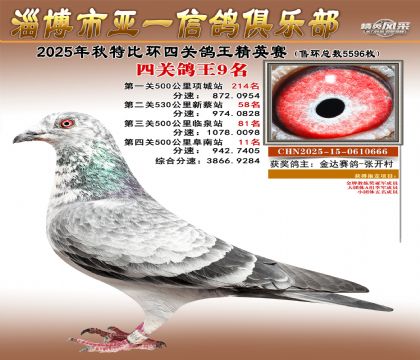 ��һ��Ӣ��9��