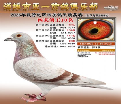 ��һ��Ӣ��10��