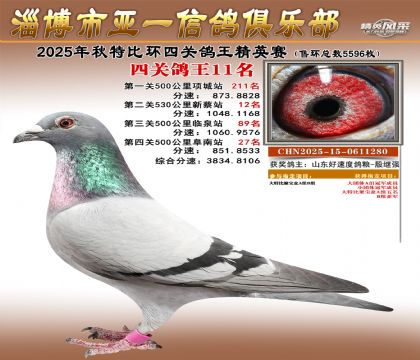 ��һ��Ӣ��11��