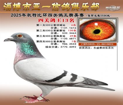 ��һ��Ӣ��13��