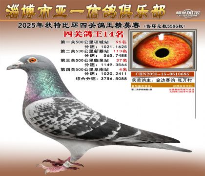 ��һ��Ӣ��14��