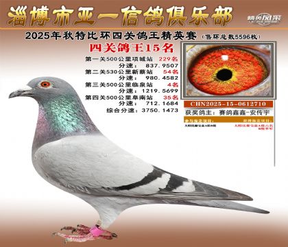 ��һ��Ӣ��15��