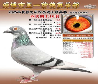 ��һ��Ӣ��16��