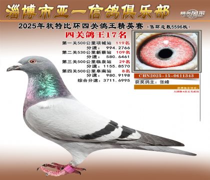 ��һ��Ӣ��17��