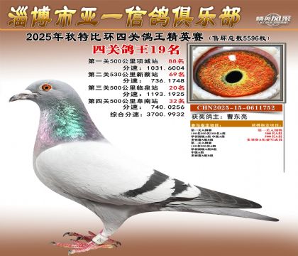 ��һ��Ӣ��19��