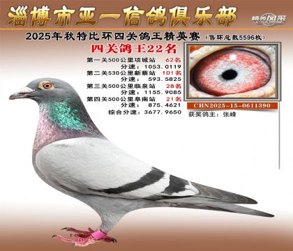 ��һ��Ӣ��22��