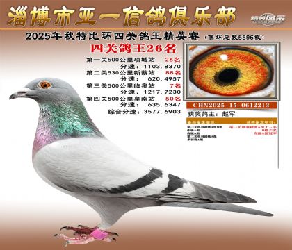 ��һ��Ӣ��26��