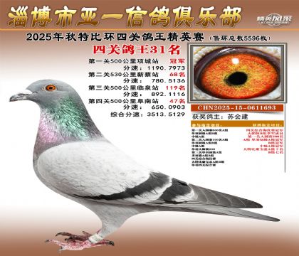 ��һ��Ӣ��31��