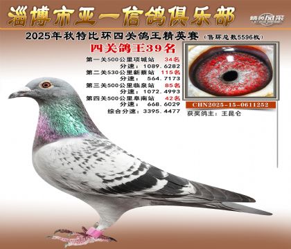 ��һ��Ӣ��39��