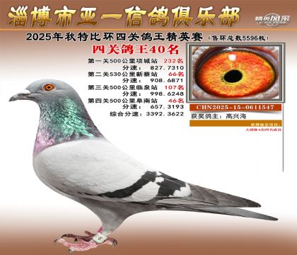 ��һ��Ӣ��40��