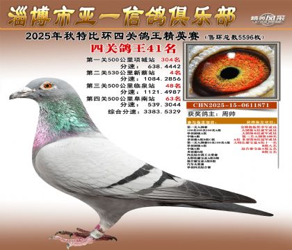 ��һ��Ӣ��41��