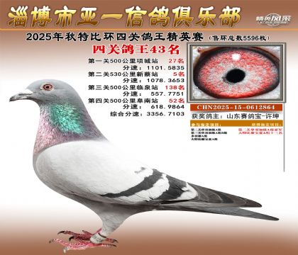 ��һ��Ӣ��43��