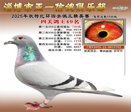 ��һ��Ӣ��49��