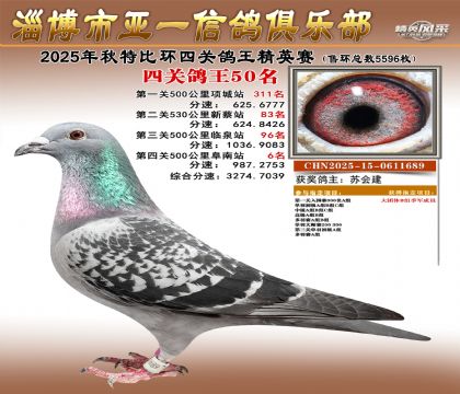 ��һ��Ӣ��50��