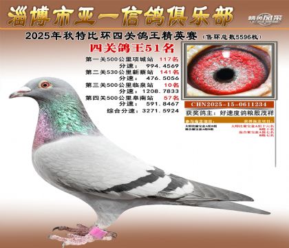 ��һ��Ӣ��51��