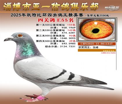 ��һ��Ӣ��55��