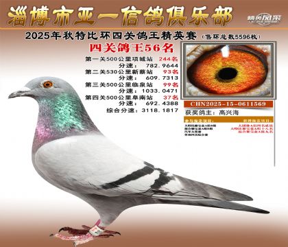 ��һ��Ӣ��56��