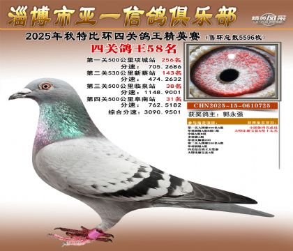 ��һ��Ӣ��58��