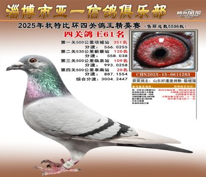 ��һ��Ӣ��61��