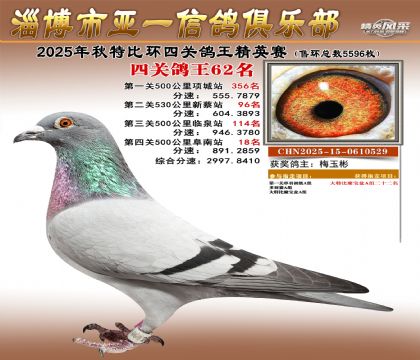 ��һ��Ӣ��62��