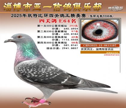 ��һ��Ӣ��64��