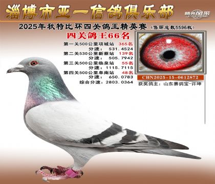 ��һ��Ӣ��66��