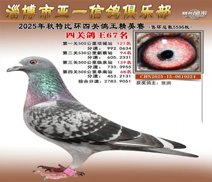 ��һ��Ӣ��67��