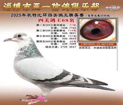 ��һ��Ӣ��68��