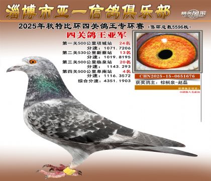 ��һ�׸�ר���Ǿ�