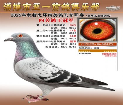 ��һ�׸�ר���ھ�