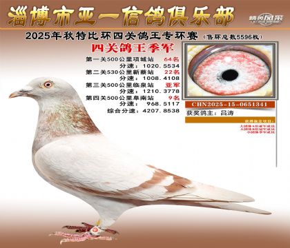 ��һ�׸�ר������