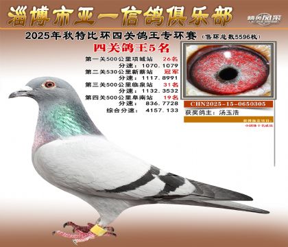 ��һ�׸�ר��5��