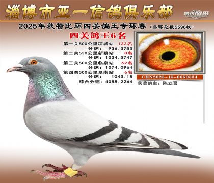 ��һ�׸�ר��6��