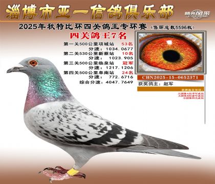 ��һ�׸�ר��7��