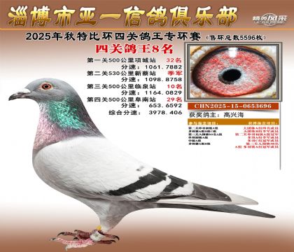 ��һ�׸�ר��8��