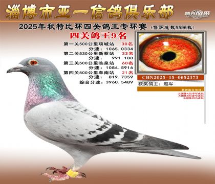 ��һ�׸�ר��9��