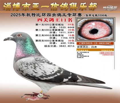 ��һ�׸�ר��11��